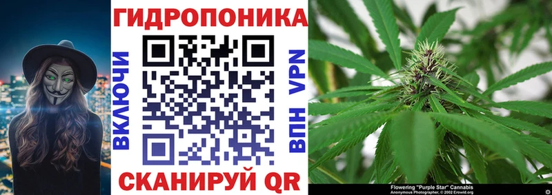 Магазин наркотиков Карабаново Каннабис  Мефедрон  ГАШИШ 