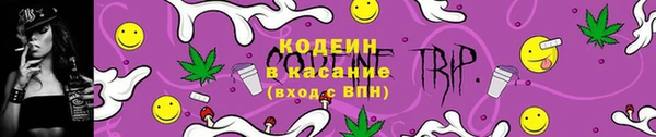 СК Зеленокумск