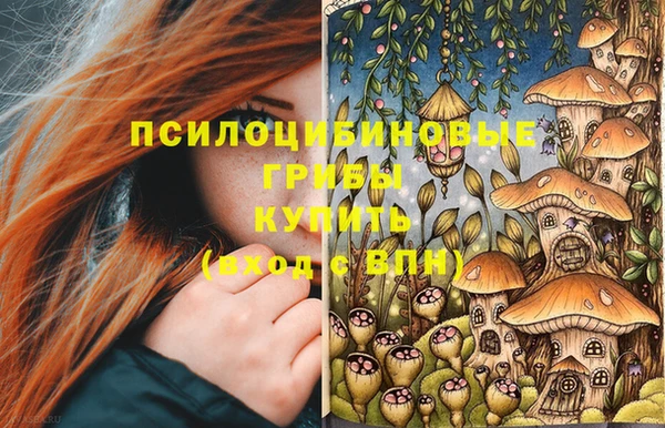 мяу мяу мука Зеленодольск