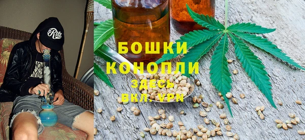 СК Зеленокумск