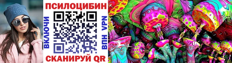 mega tor  Карабаново  Галлюциногенные грибы Magic Shrooms 